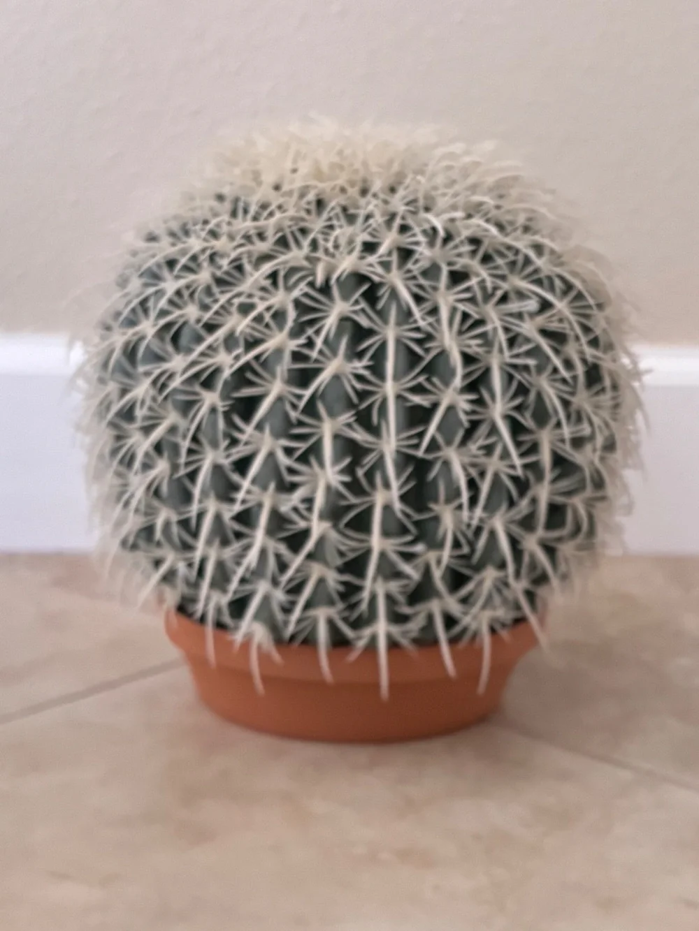 Faux Cactus